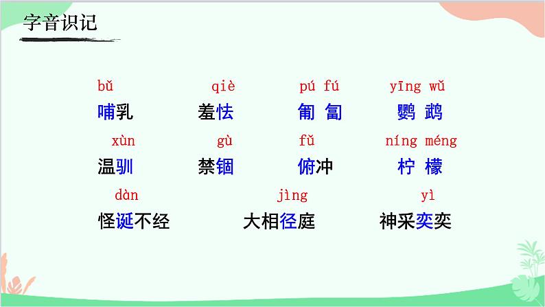 统编版语文七年级上册 17《动物笑谈》课件05