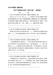 专练12 中考句子的衔接与运用（通关手册）（原卷版）[部编版]