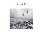 统编版九年级语文下册-4. 海燕（课件）