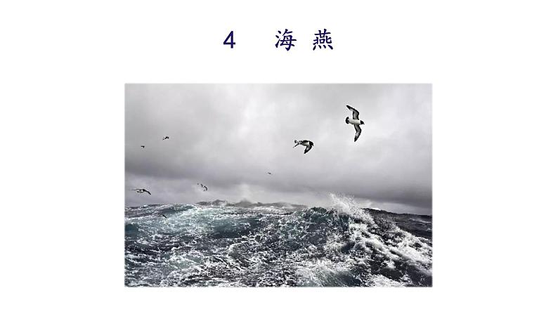 统编版九年级语文下册-4. 海燕（课件）02
