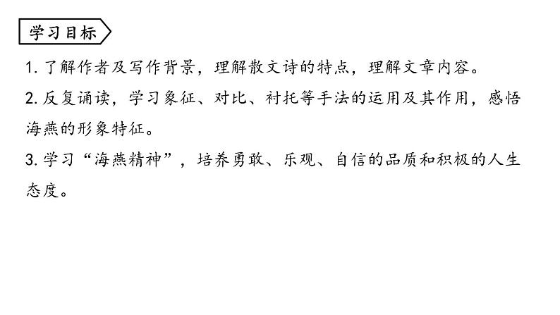 统编版九年级语文下册-4. 海燕（课件）04