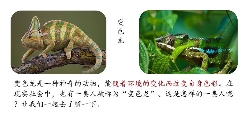 统编版九年级语文下册-6. 变色龙（课件）01