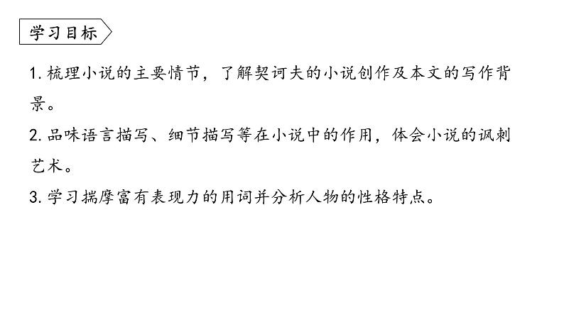 统编版九年级语文下册-6. 变色龙（课件）04