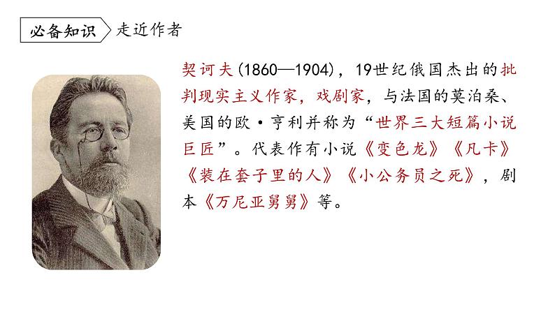 统编版九年级语文下册-6. 变色龙（课件）05