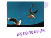九下第一单元海燕同步课件