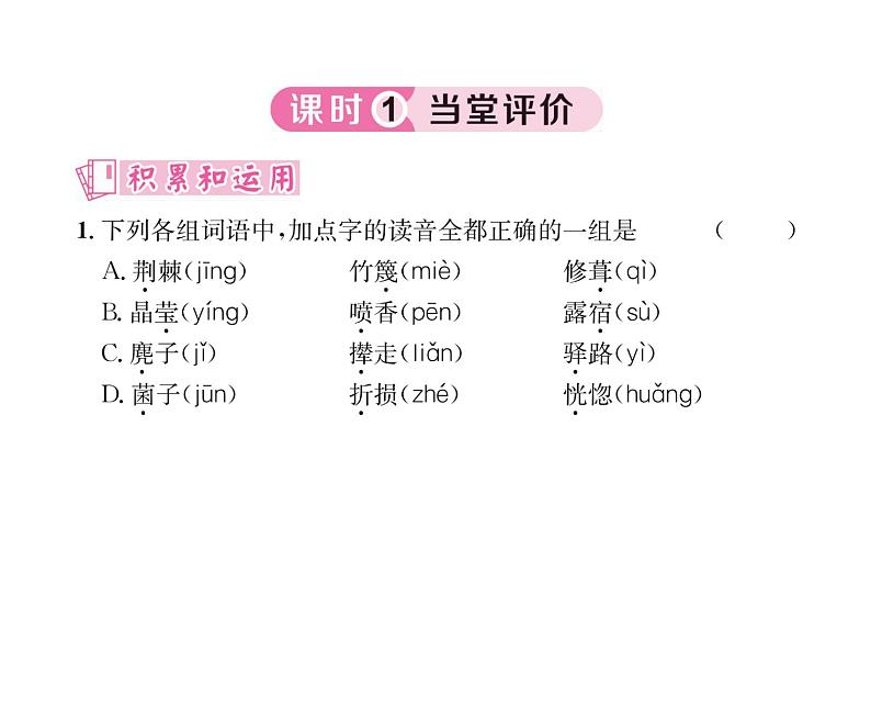 人教版七年级语文下第4单元修身正己15驿路梨花课时训练PPT第5页