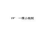 人教版七年级语文下第5单元生活哲思19一棵小桃树课时训练PPT