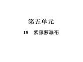 人教版七年级语文下第5单元生活哲思18紫藤萝瀑布读背课时训练PPT