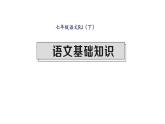 人教版七年級(jí)語(yǔ)文下第6單元科幻探險(xiǎn)語(yǔ)文基礎(chǔ)知識(shí)讀背課時(shí)訓(xùn)練PPT