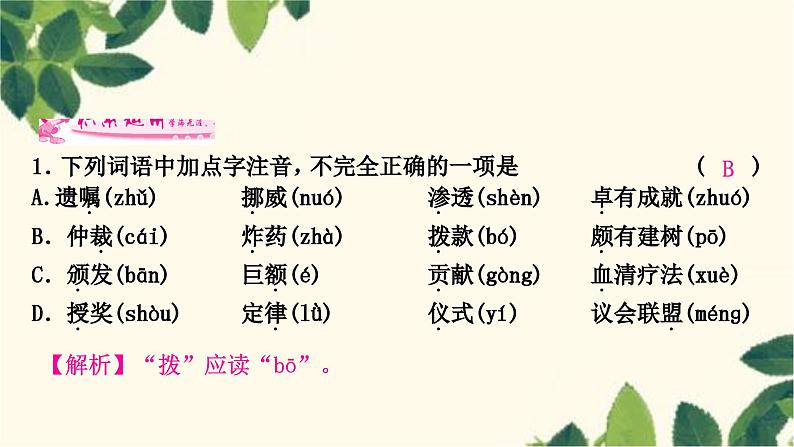 部编版语文八年级上册 2　首届诺贝尔奖颁发 课件第8页