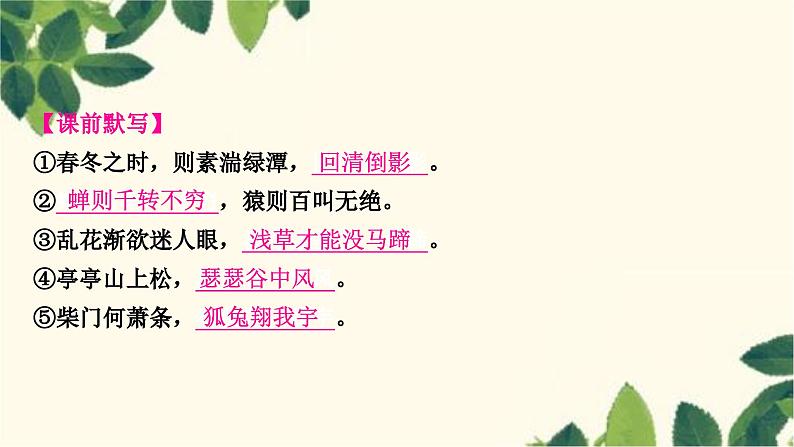 部编版语文八年级上册 8　列夫•托尔斯泰 课件06