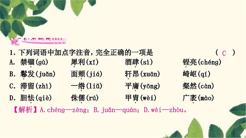 部编版语文八年级上册 8　列夫•托尔斯泰 课件07