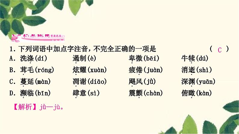 部编版语文八年级上册 16　散文二篇 课件第8页