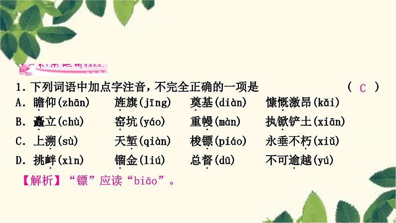 部编版语文八年级上册 20　人民英雄永垂不朽 课件03