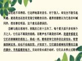 部编版语文八年级上册 名著导读　《昆虫记》 课件