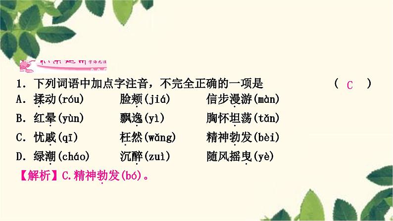 部编版语文九年级上册 6　我　看 课件08