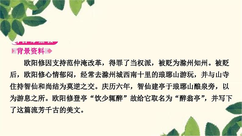 部编版语文九年级上册 12　醉翁亭记 课件02