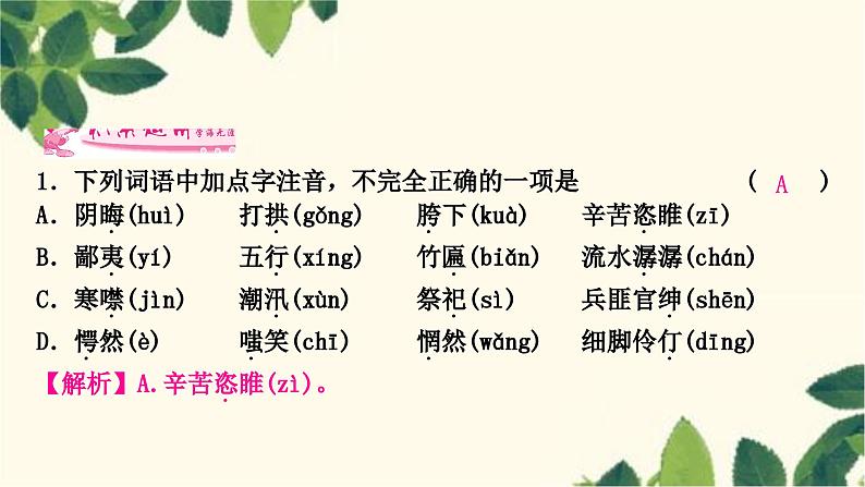 部编版语文九年级上册 15　故　乡 课件08