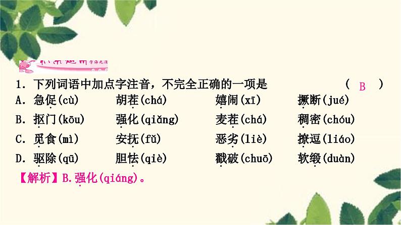 部编版语文九年级上册 17　孤独之旅 课件07