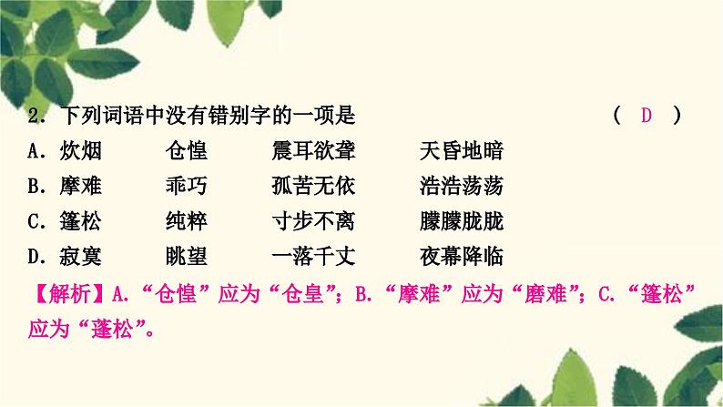 部编版语文九年级上册 17　孤独之旅 课件08