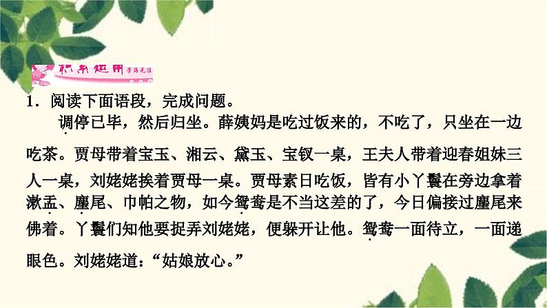 部编版语文九年级上册 25　刘姥姥进大观园 课件第8页