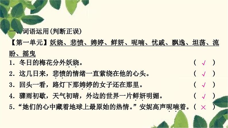 部编版语文九年级上册 2.期末复习专题二 词语的理解于运用 课件02