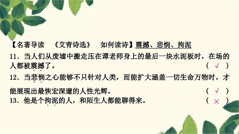 部编版语文九年级上册 2.期末复习专题二 词语的理解于运用 课件04
