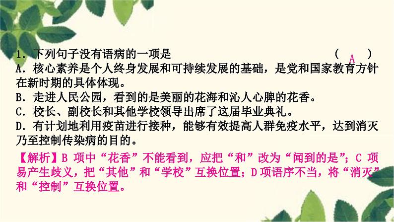 部编版语文九年级上册 3.期末复习专题三 病句的辨析于修改 课件02