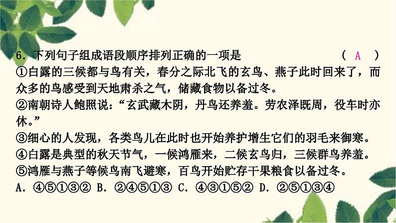 部编版语文九年级上册 4.期末复习专题四 句子的排序与衔接 课件07