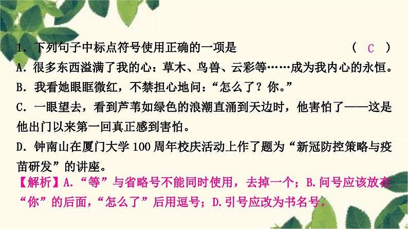 部编版语文九年级上册 5.期末复习专题五 标点符号 课件02