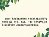 部编版语文八年级上册 3　“飞天”凌空 课件