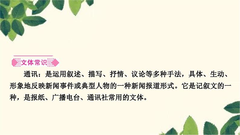 部编版语文八年级上册 4　一着惊海天 课件02