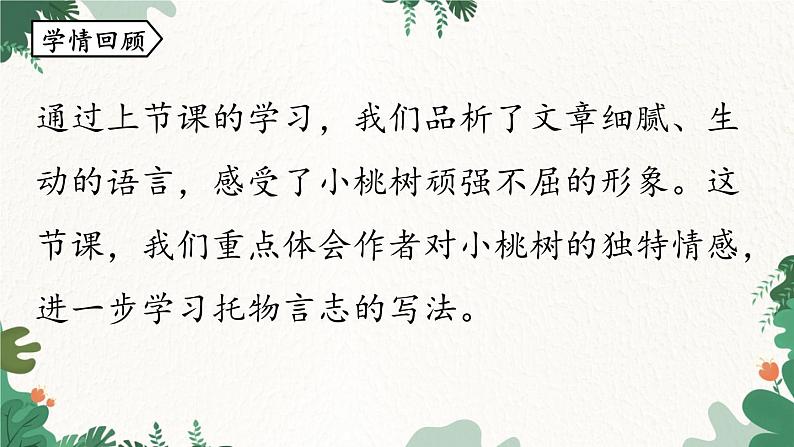 统编版语文七年级下册 第5单元 19《一棵小桃树》课时2课件第3页