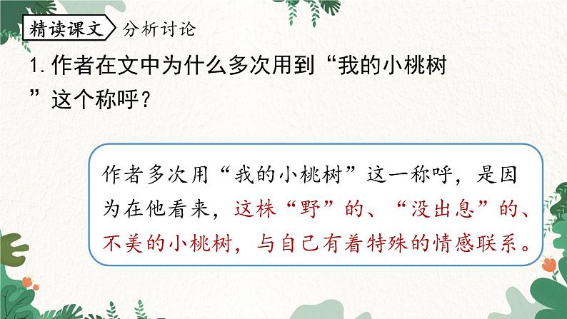 统编版语文七年级下册 第5单元 19《一棵小桃树》课时2课件第4页