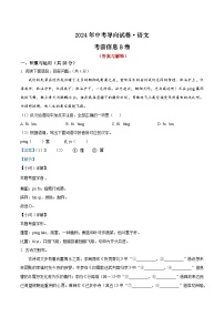 27、2024年中考模拟语文试题B卷（答案与解析版）