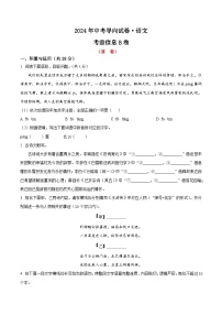 27、2024年中考模拟语文试题B卷（原卷版）