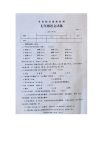 山东省枣庄市薛城区2023-2024学年七年级上学期语文期中试题
