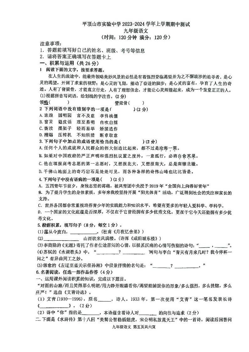河南省平顶山市实验中学2023-2024学年九年级上学期期中考试语文试题第1页