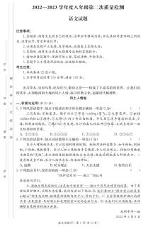 湖南省长沙市湖南师大附中教育集团2023-2024学年九年级上学期第二次联考（期中）语文试题