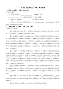 上海市闵行区九年级上学期语文期末试卷附参考答案