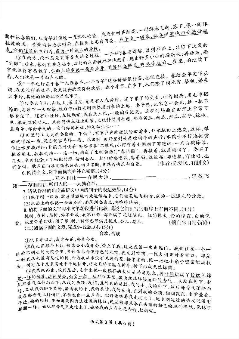 2023-2024洛阳市涧西区七年级上学期期中语文试卷及答案第3页