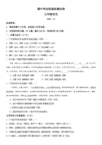 辽宁省大连市金普新区2023-2024学年九年级上学期期中语文试题  含答案解析