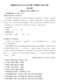 湖南省怀化市2023-2024学年九年级上学期期中语文试题  含答案解析