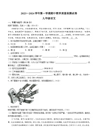 河南省洛阳市新安县2023-2024学年九年级上学期期中语文试题