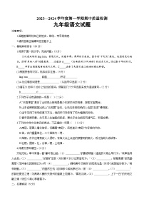 山东省菏泽市东明县2023-2024学年九年级上学期期中考试语文试题（含答案）