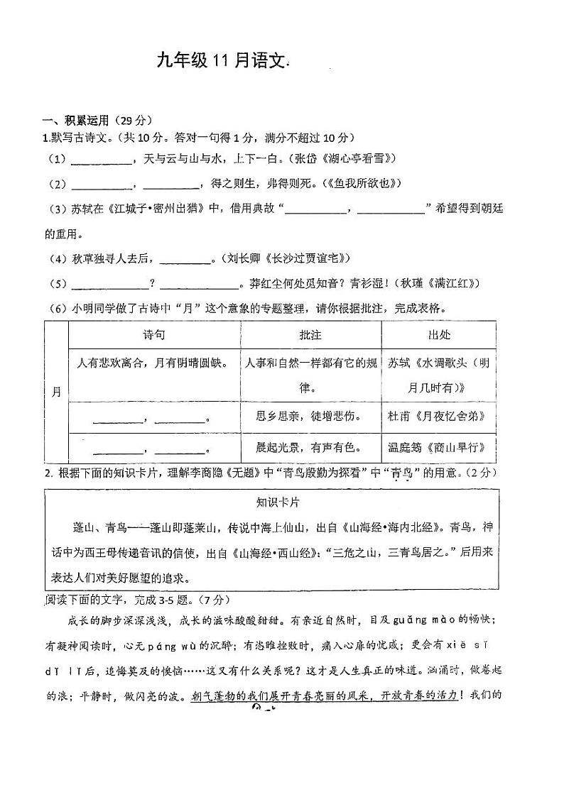 广东省中山市教学共进联盟2023-2024学年九年级上学期11月月考语文试题第1页