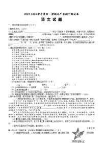 安徽省黄山市休宁县2023-2024学年九年级上学期期中考试语文试题（含答案）