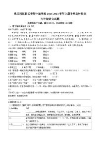重庆市华东师范大学附属中旭科创学校2023-2024学年七年级上学期期中定时作业语文试题(无答案)