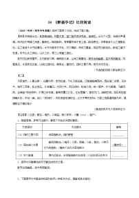 04《醉翁亭记》比较阅读－2023-2024学年九年级语文上册知识（考点）梳理与能力训练