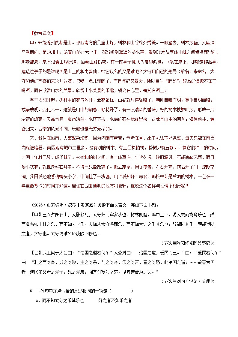 04《醉翁亭记》比较阅读－2023-2024学年九年级语文上册知识（考点）梳理与能力训练第3页